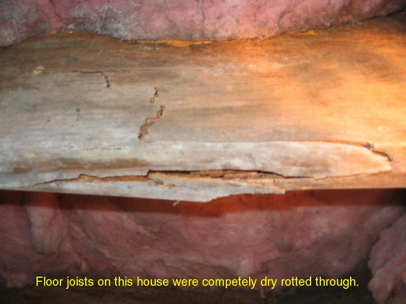 Rock Solid Home Inspections roof inspection photo 13