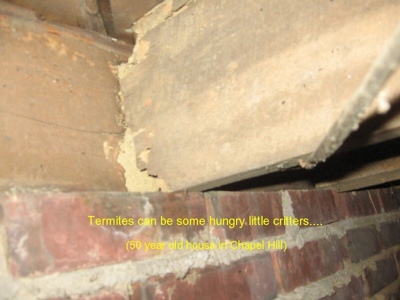 Rock Solid Home Inspections plumbing inspection photo 19