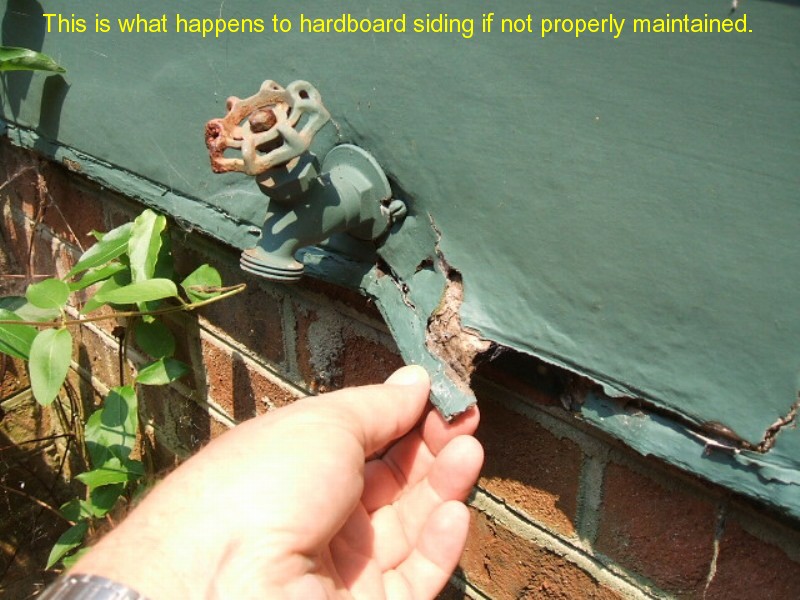 Rock Solid Home Inspections mold inspection photo 28