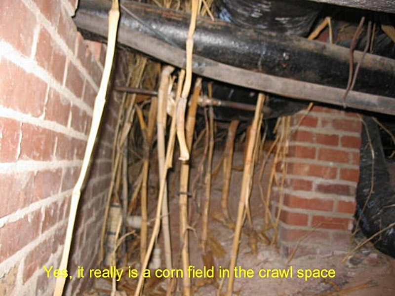 Rock Solid Home Inspections photo 4